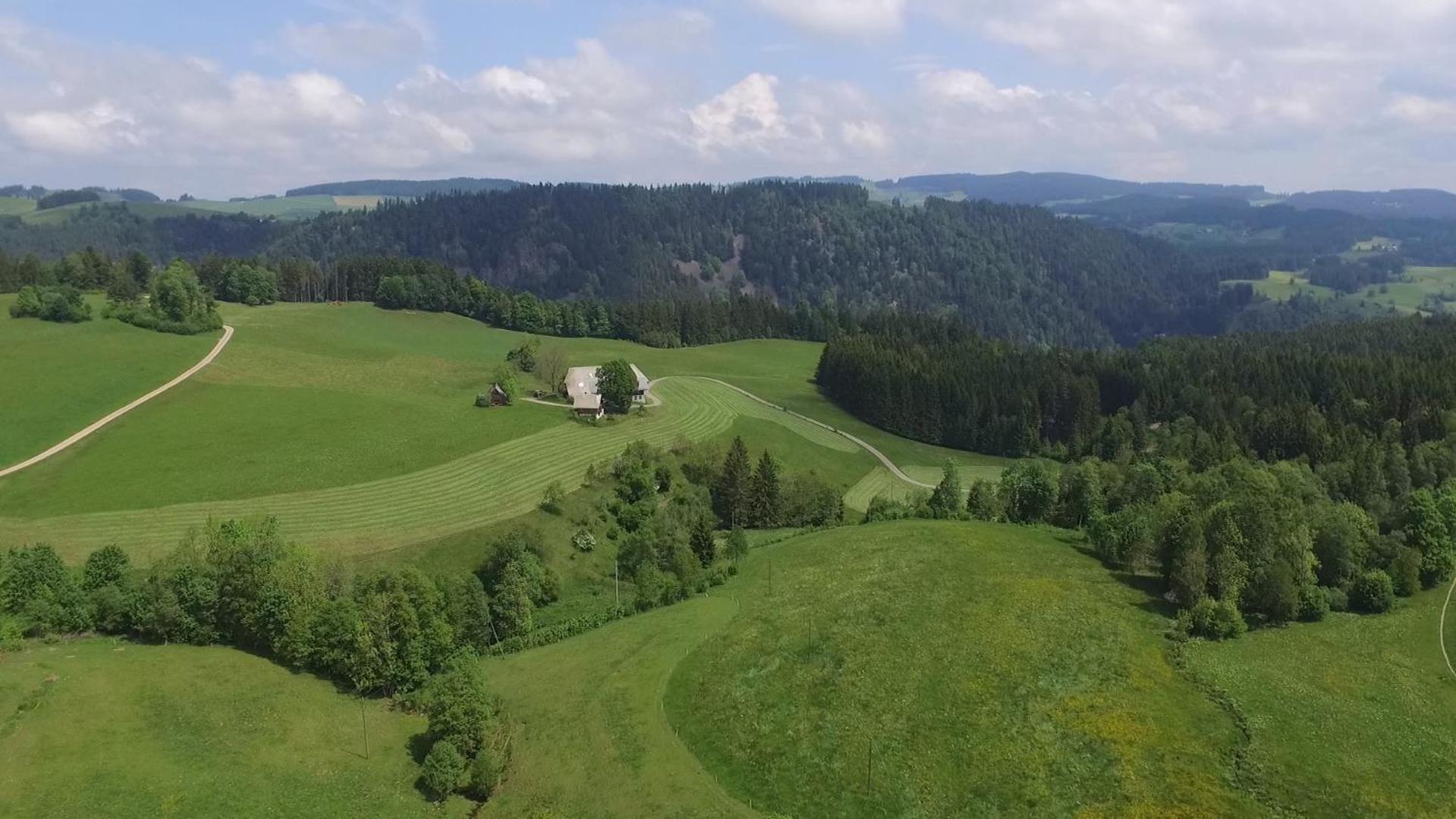 Apartamento Ferienhaus Esche Hinterzarten Exterior foto