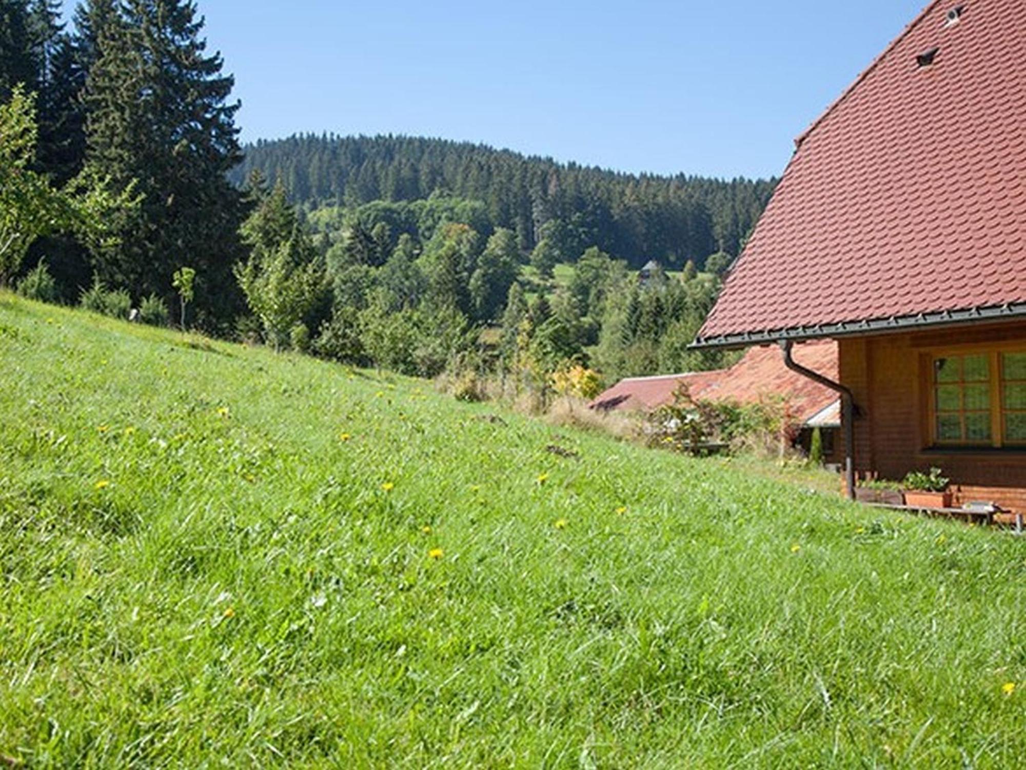 Apartamento Ferienhaus Esche Hinterzarten Exterior foto