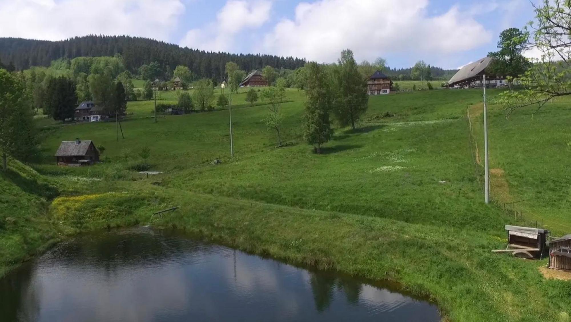 Apartamento Ferienhaus Esche Hinterzarten Exterior foto