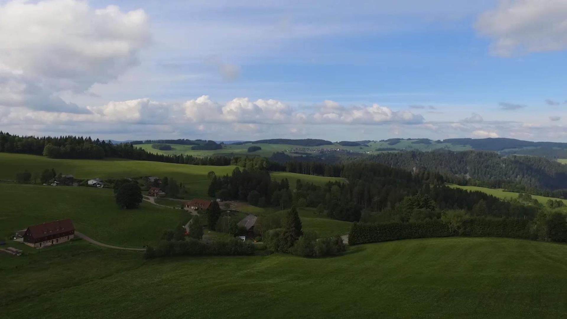 Apartamento Ferienhaus Esche Hinterzarten Exterior foto