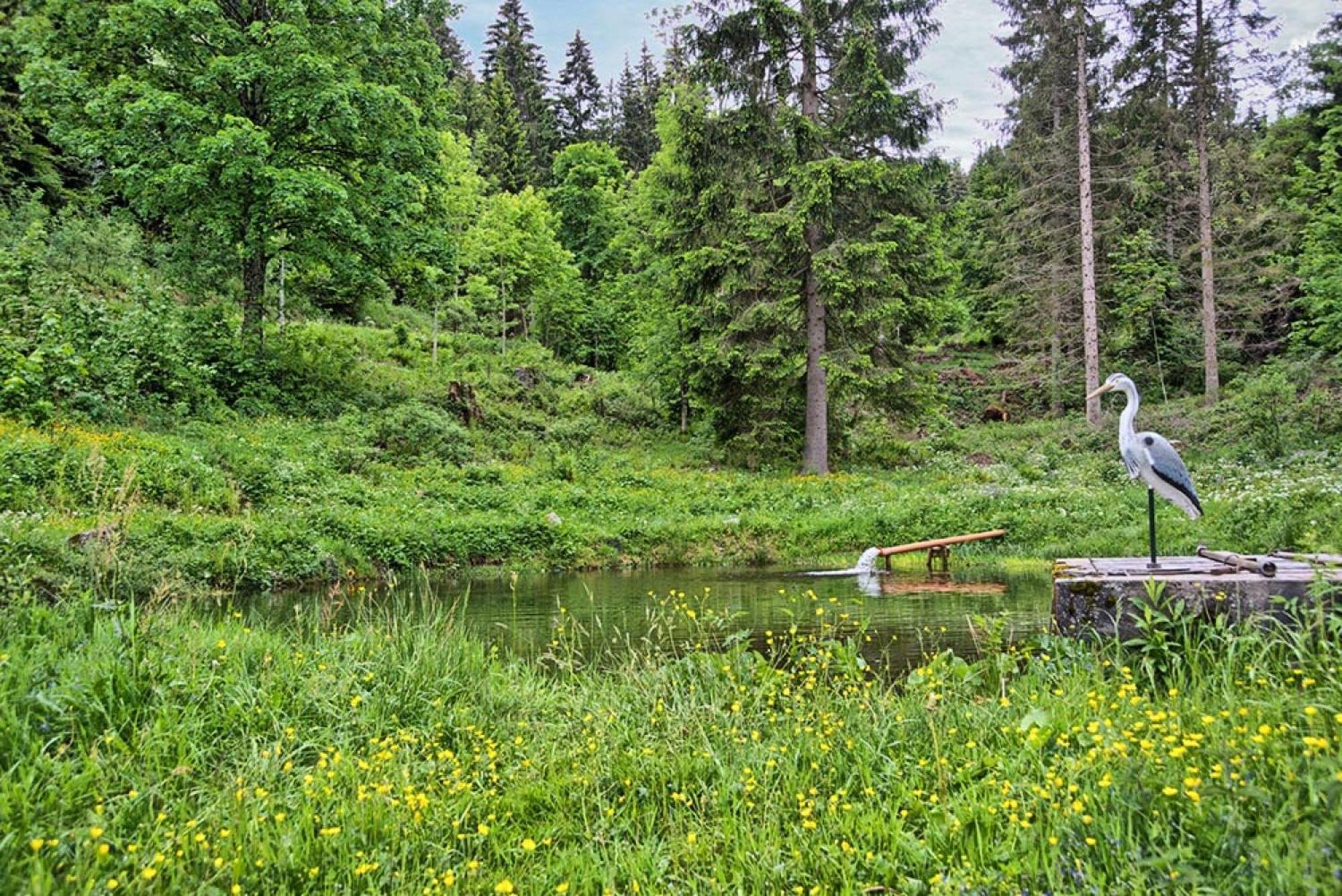 Apartamento Ferienhaus Esche Hinterzarten Exterior foto