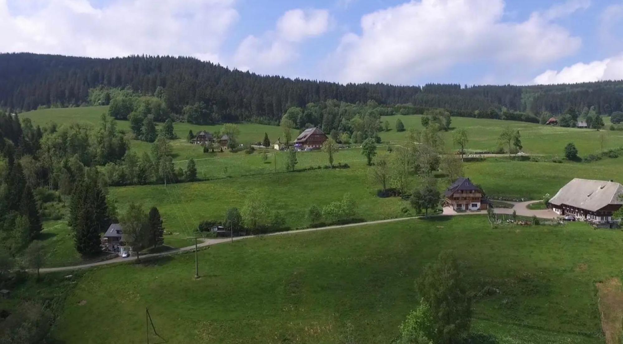 Apartamento Ferienhaus Esche Hinterzarten Exterior foto