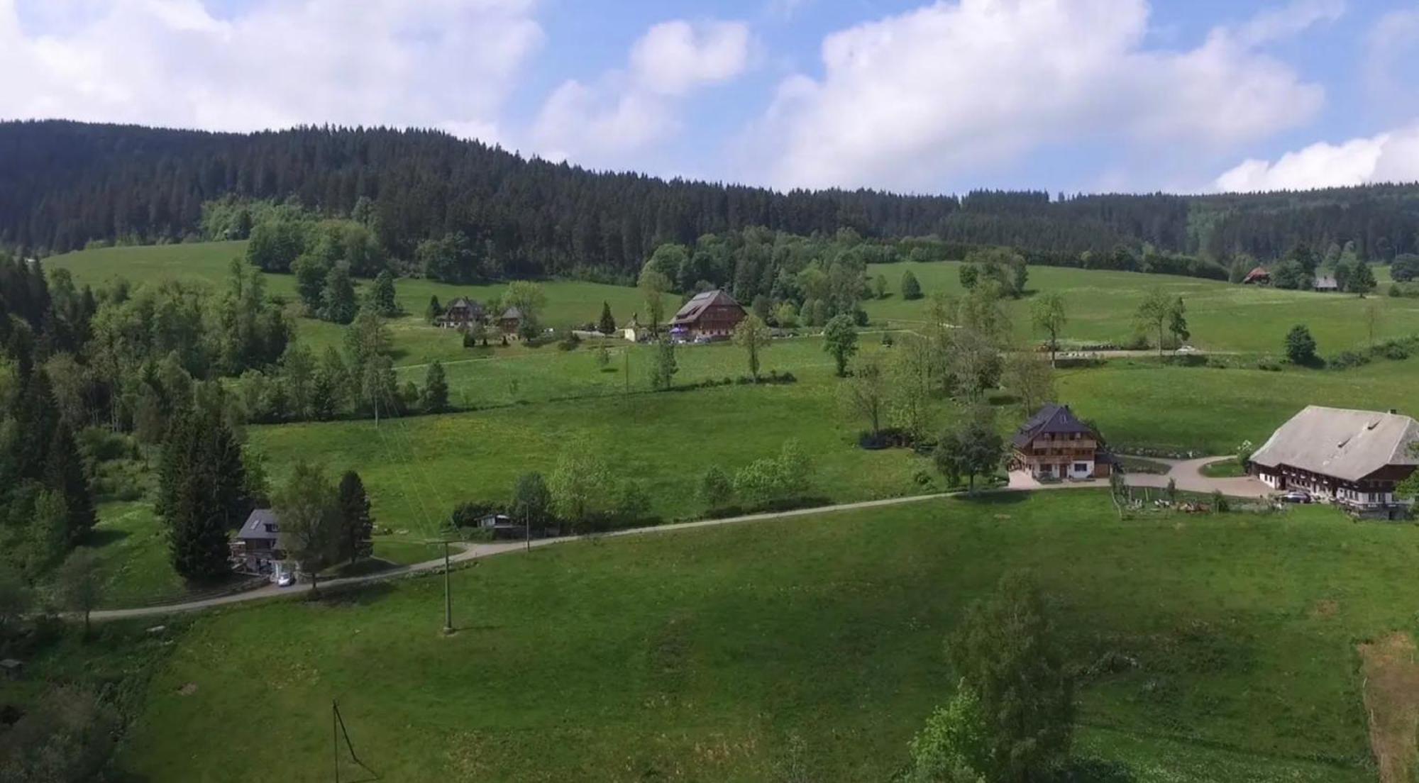 Ferienhaus Esche Hinterzarten Exterior foto