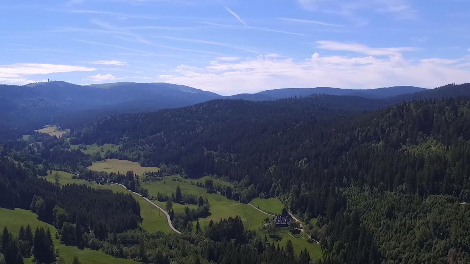 Ferienhaus Esche Hinterzarten Exterior foto